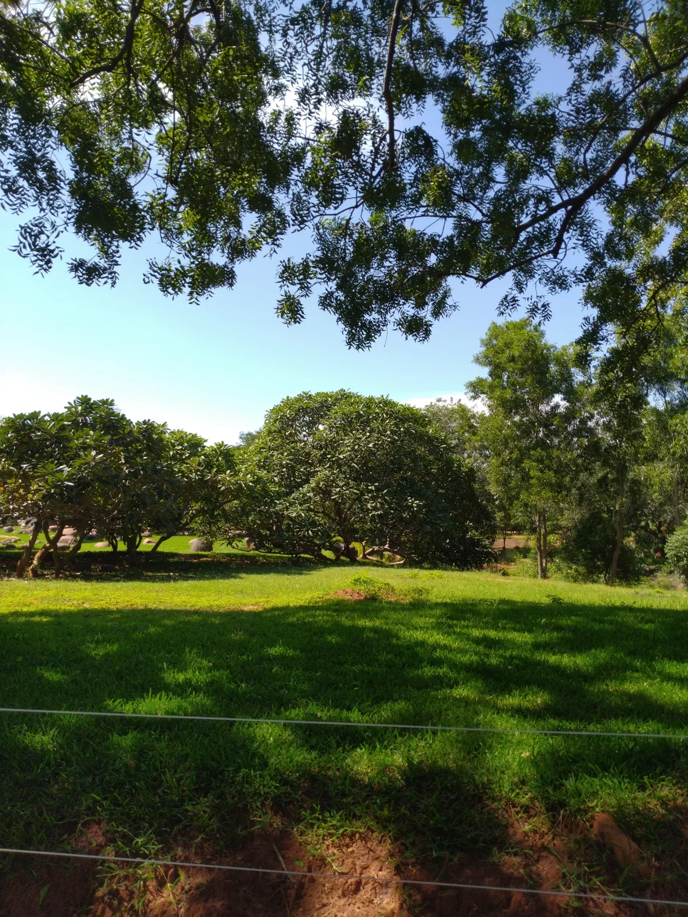 Photo of Auroville: The City of Dawn By Pratiyush Sah