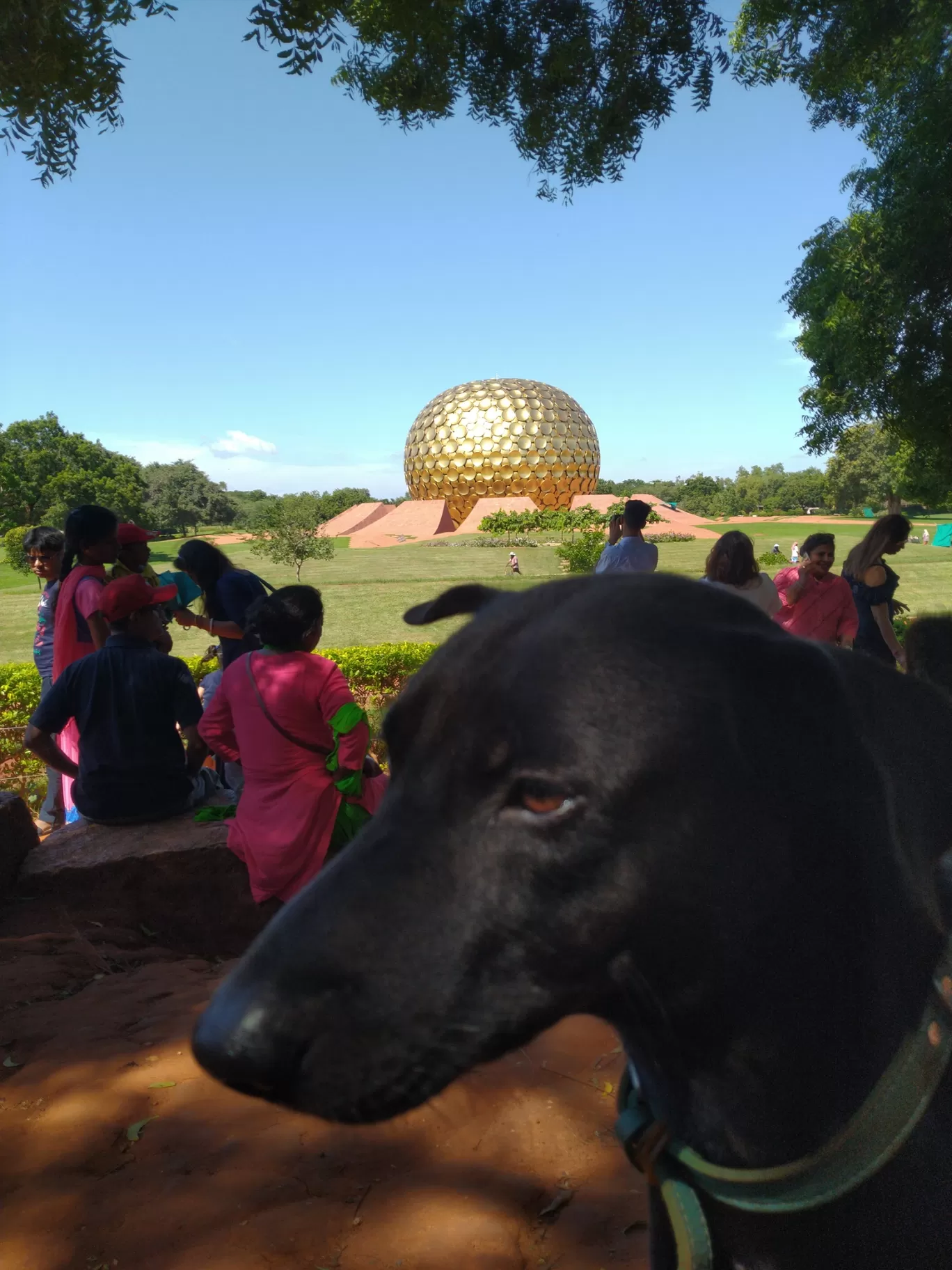 Photo of Auroville: The City of Dawn By Pratiyush Sah