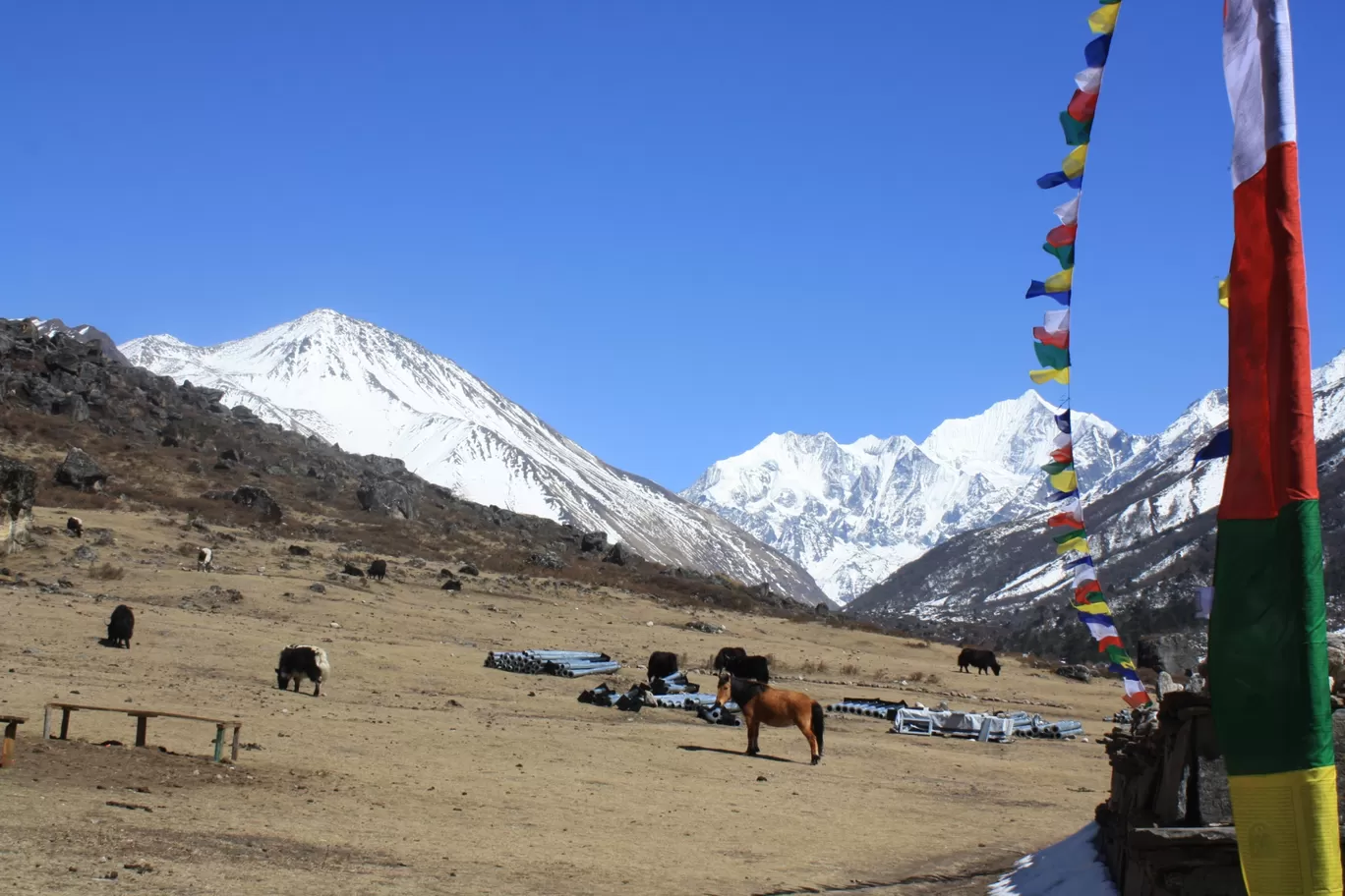 Photo of Langtang By Pratiyush Sah