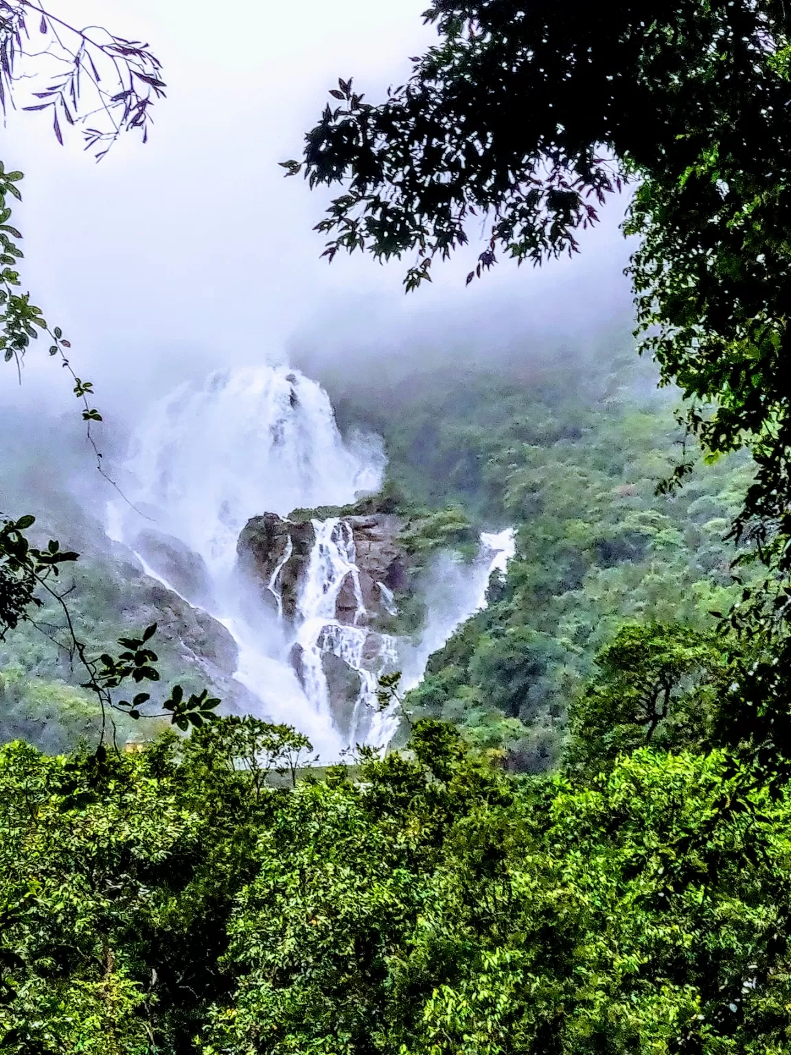 Photo of Dudhsagar Falls By Ganesh Khillari