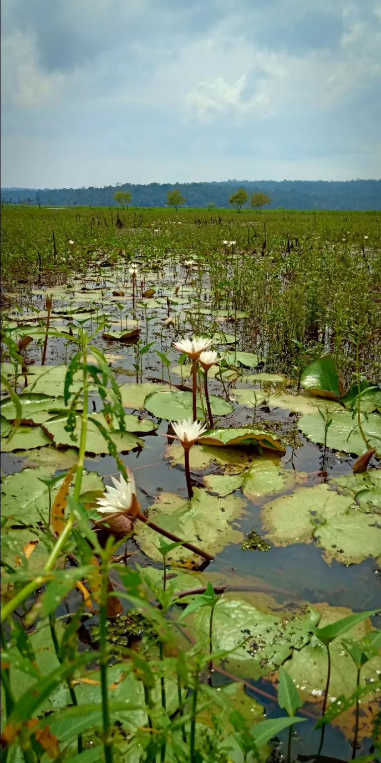 Photo of Vellayani Lake By Balendu S Kumar