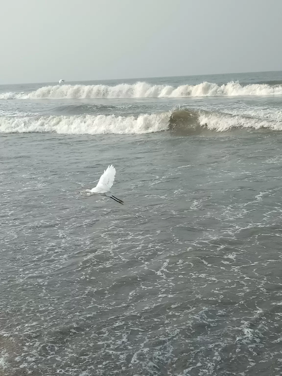 Photo of Kozhikode Beach By Balendu S Kumar