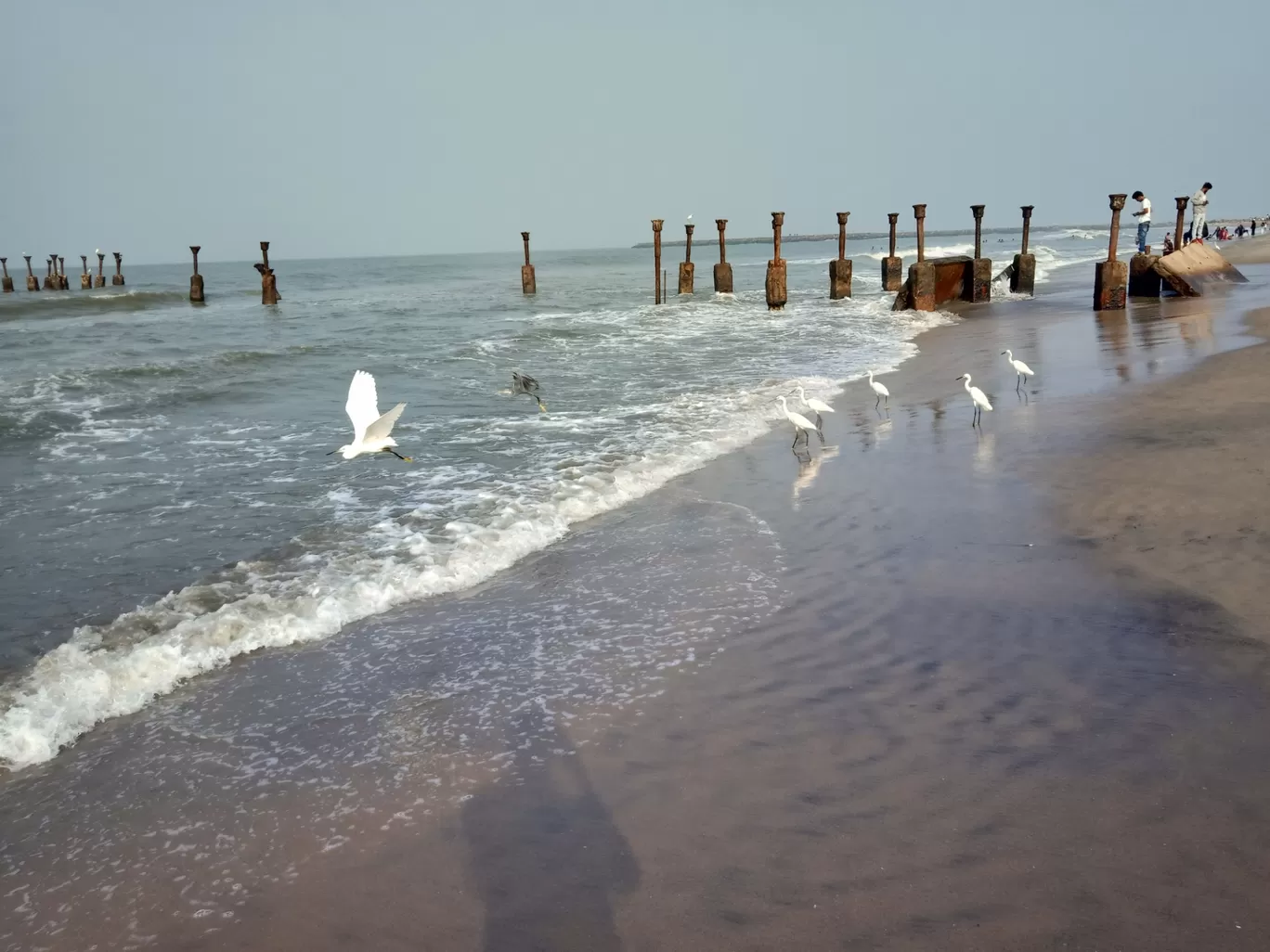 Photo of Kozhikode Beach By Balendu S Kumar