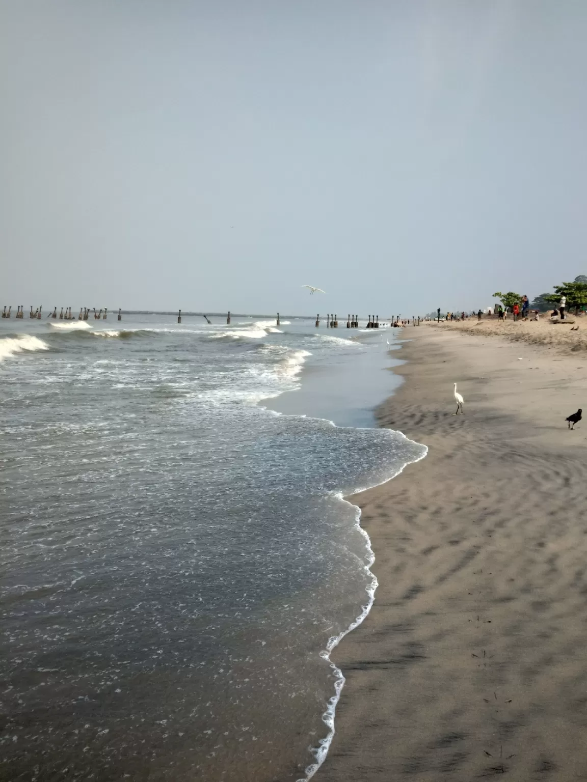 Photo of Kozhikode Beach By Balendu S Kumar