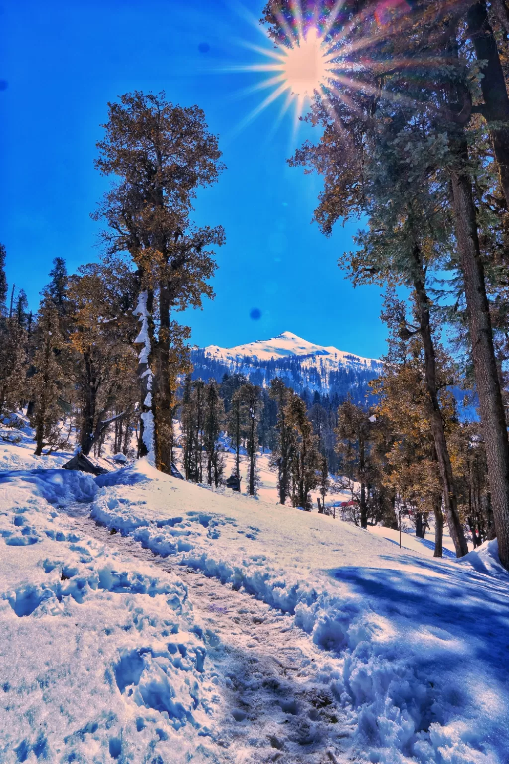 Photo of Kedarkantha By Mohit Sharma