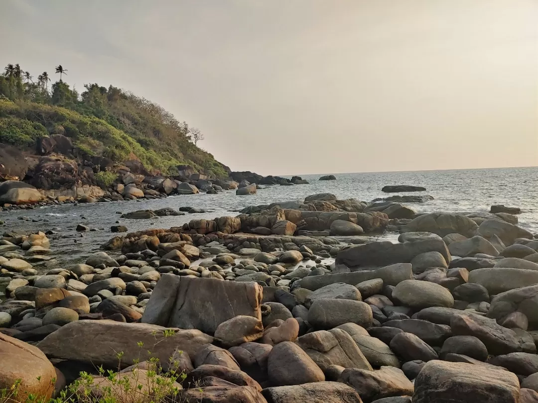 Photo of Palolem Beach By Vicky Wonderer