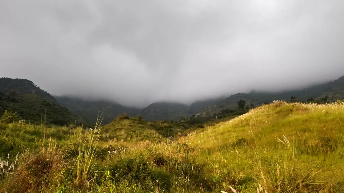 Photo of Monsoon Magic -Dharamshala Diaries By Sachin Dhiman