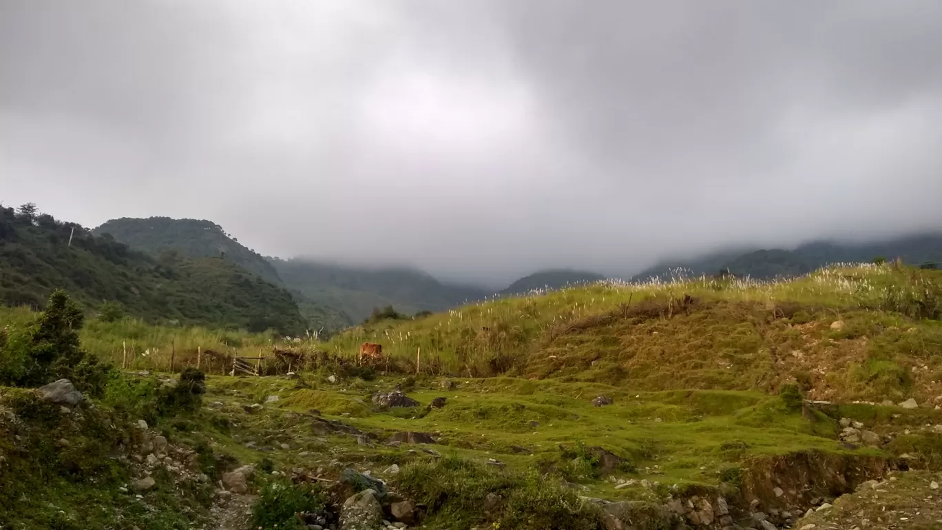 Photo of Monsoon Magic -Dharamshala Diaries By Sachin Dhiman
