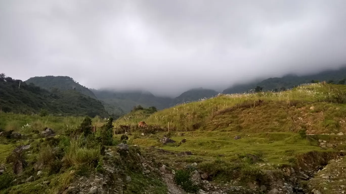 Photo of Monsoon Magic -Dharamshala Diaries By Sachin Dhiman