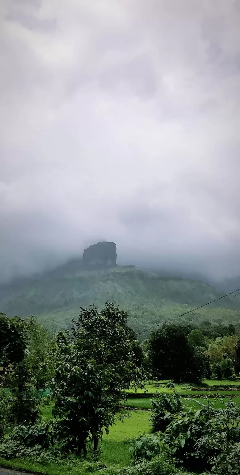 Photo of Malshej Ghat By Dhivya Shetty