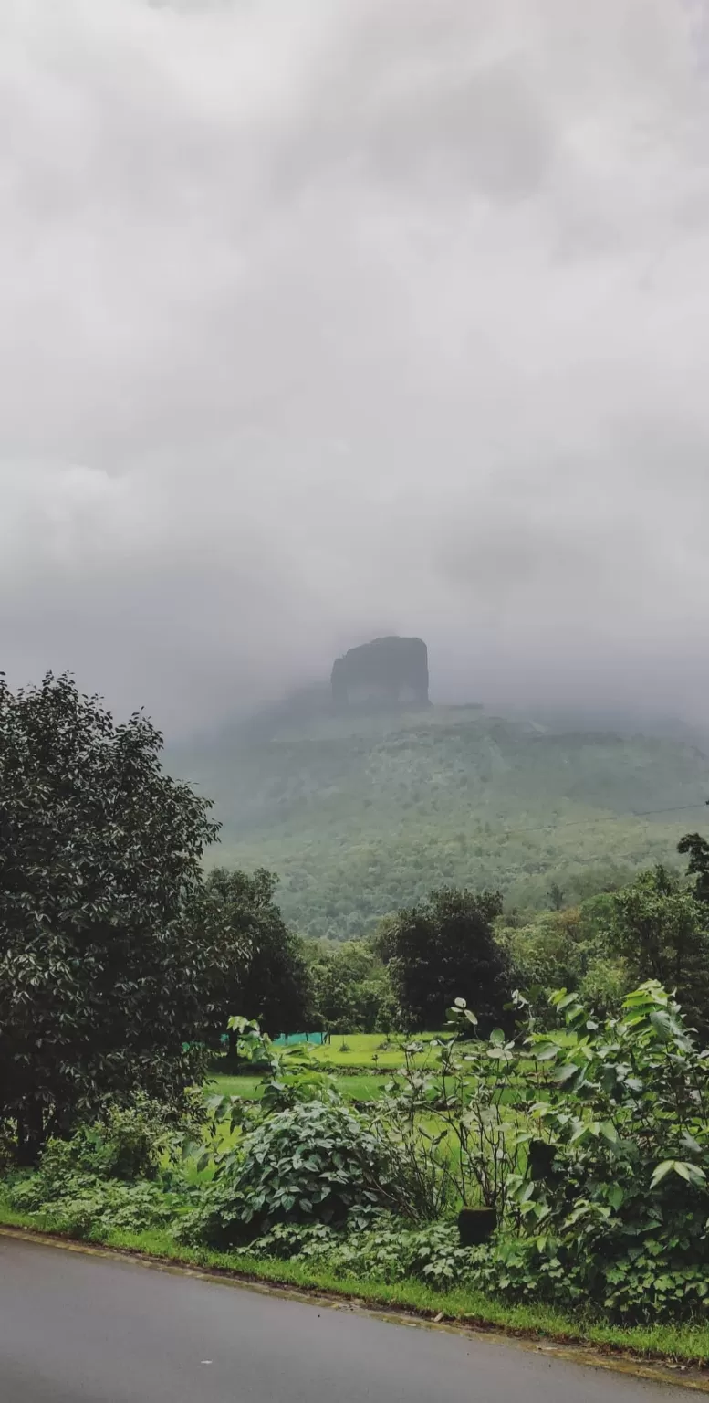 Photo of Malshej Ghat By Dhivya Shetty