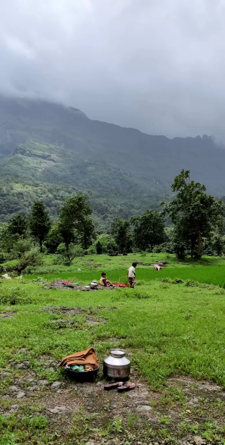 Photo of Malshej Ghat By Dhivya Shetty