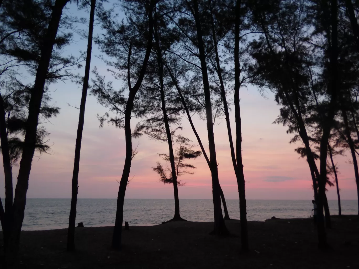 Photo of Mangaluru By Test