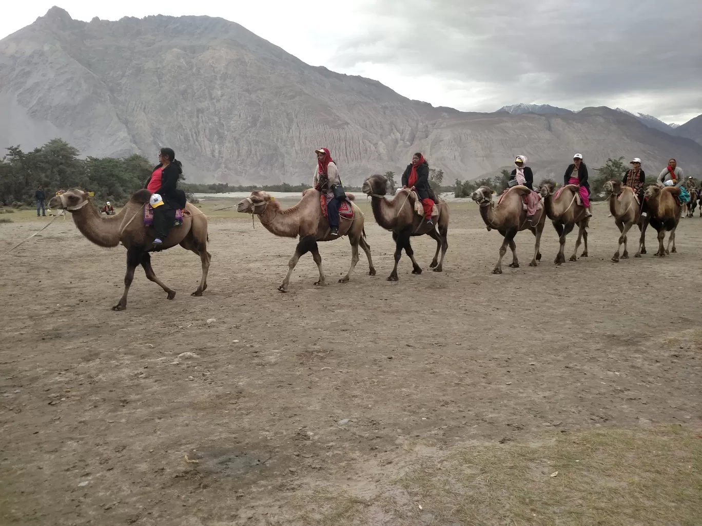 Photo of Nubra Valley By Farooz Bhat