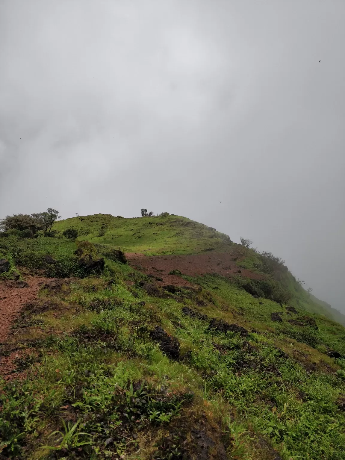 Photo of Kodachadri By Pruthvi kote