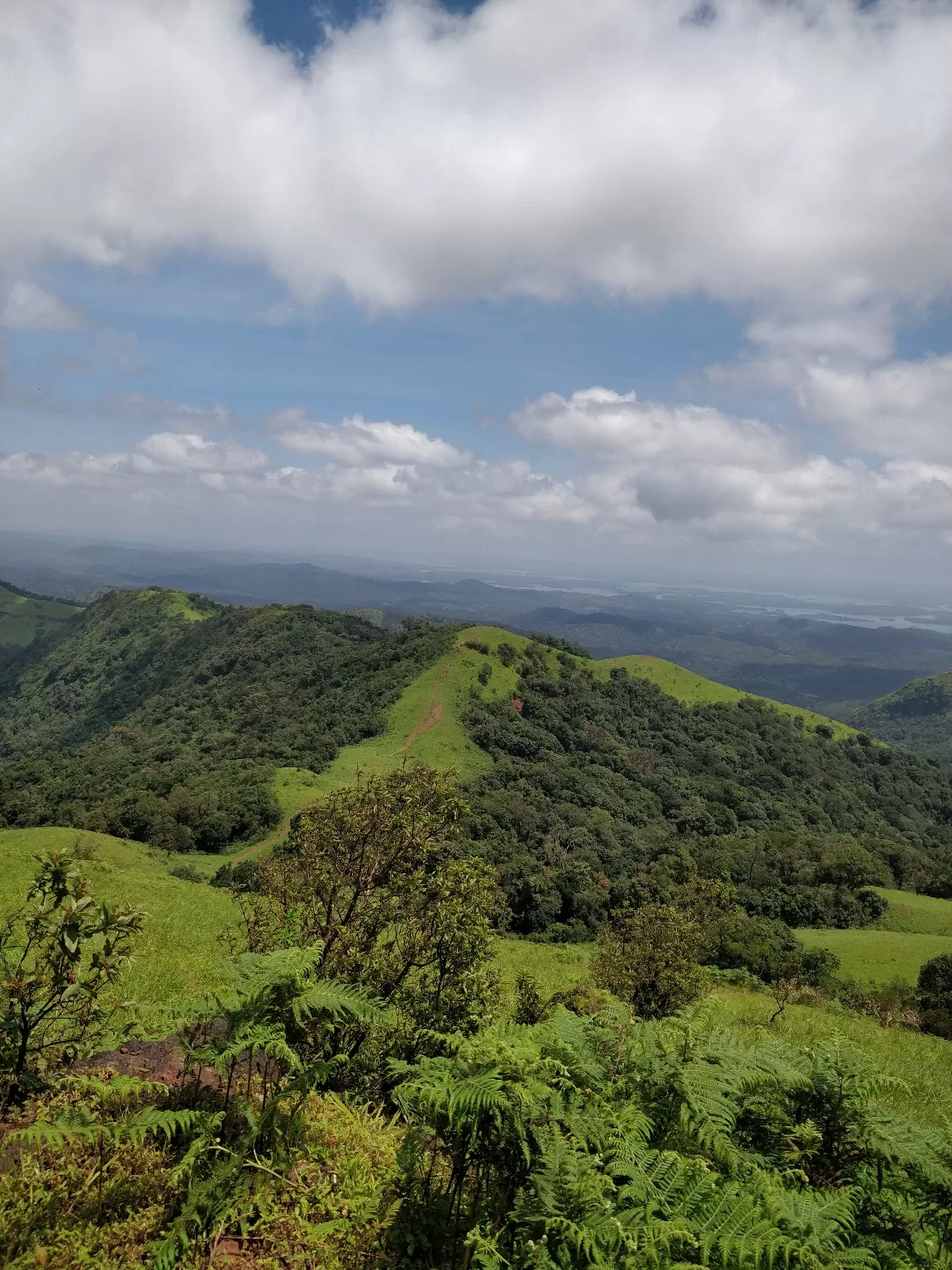 Photo of Kodachadri By Pruthvi kote
