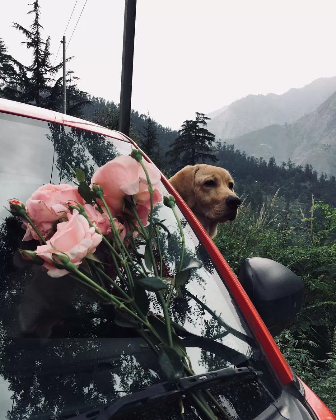 Photo of Kasol By Kushal Sharma