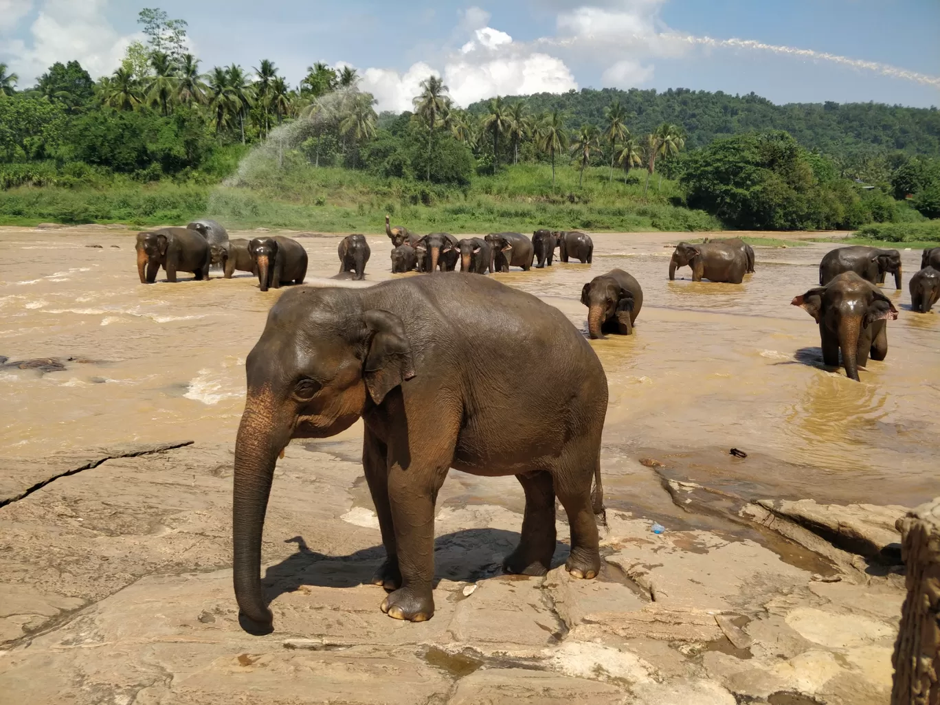 Photo of Sri Lanka By Malika Bhavnani