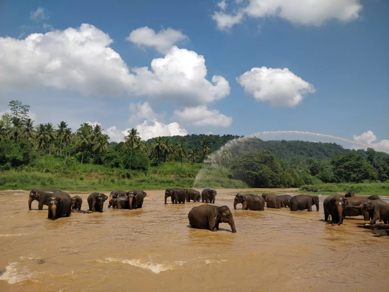 Photo of Sri Lanka By Malika Bhavnani