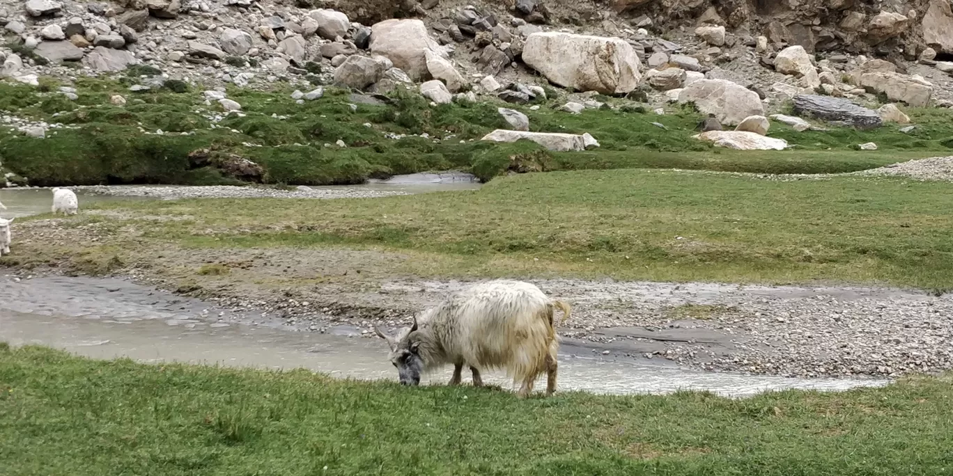 Photo of Ladakh Vacation By Chetan