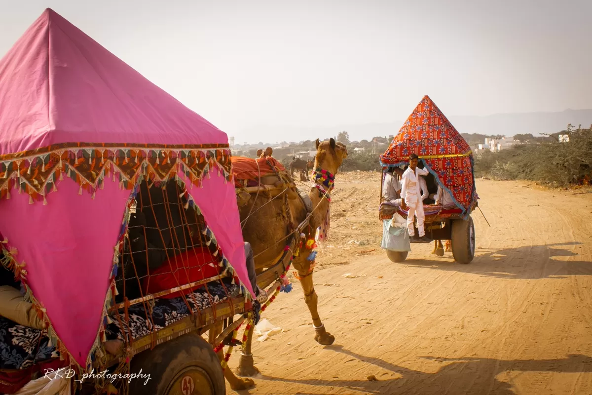 Photo of Pushkar By Rathin Kumar Das