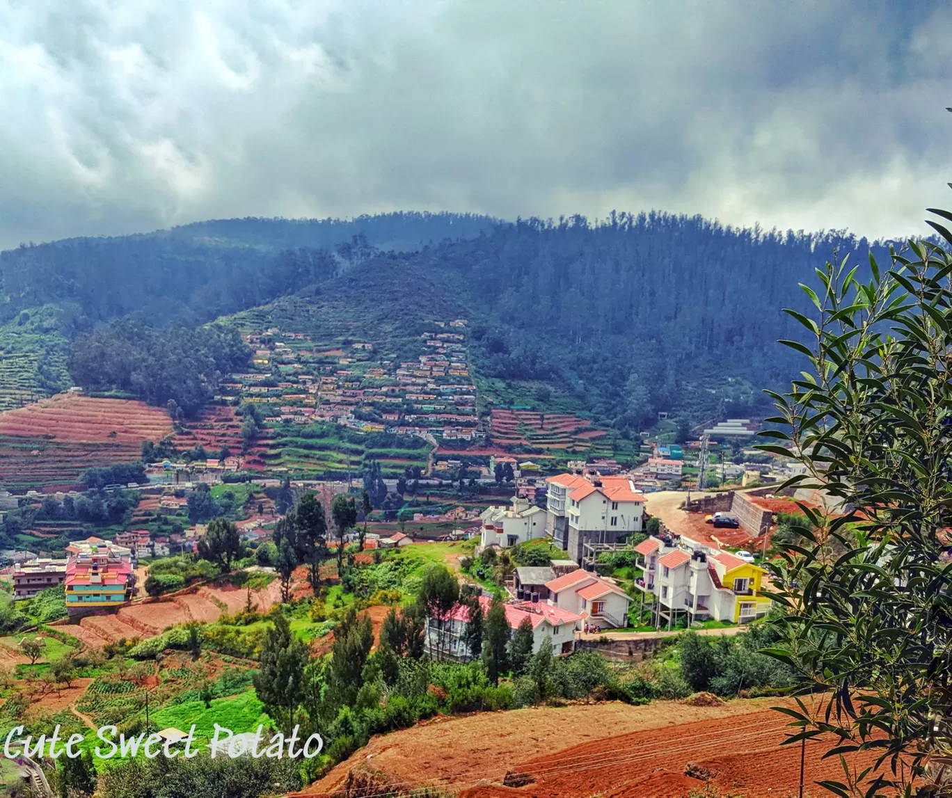 Photo of Ooty By Sneha Mala