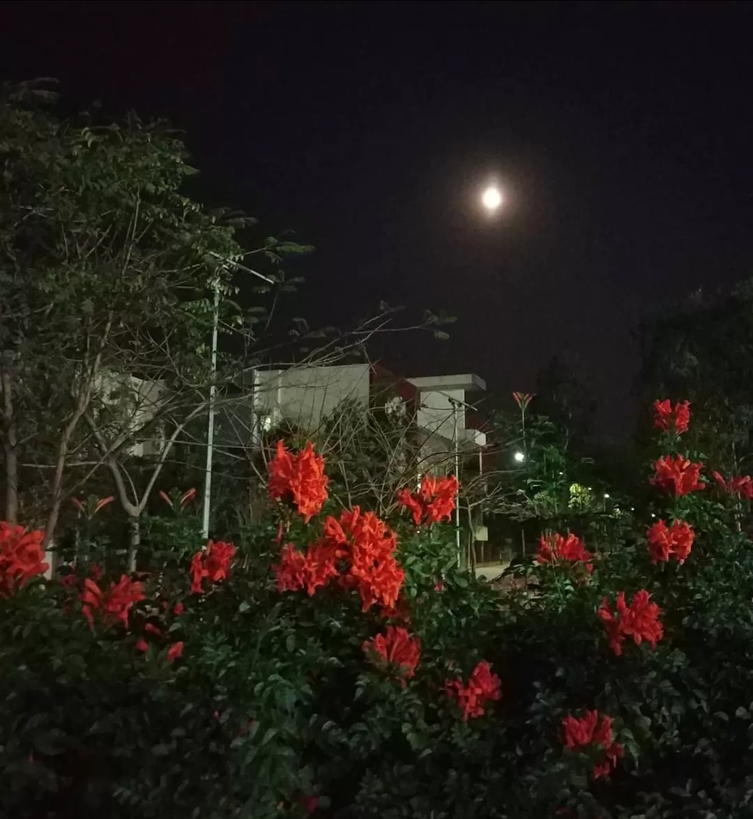 Photo of Indian Institute of Science Education and Research (IISER) By Manish Kumar