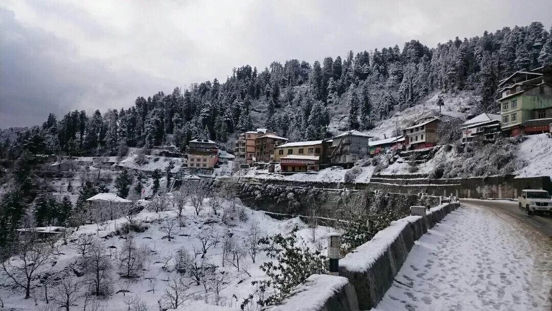 Photo of Kufri - Chail Road By Divyank Kushwaha