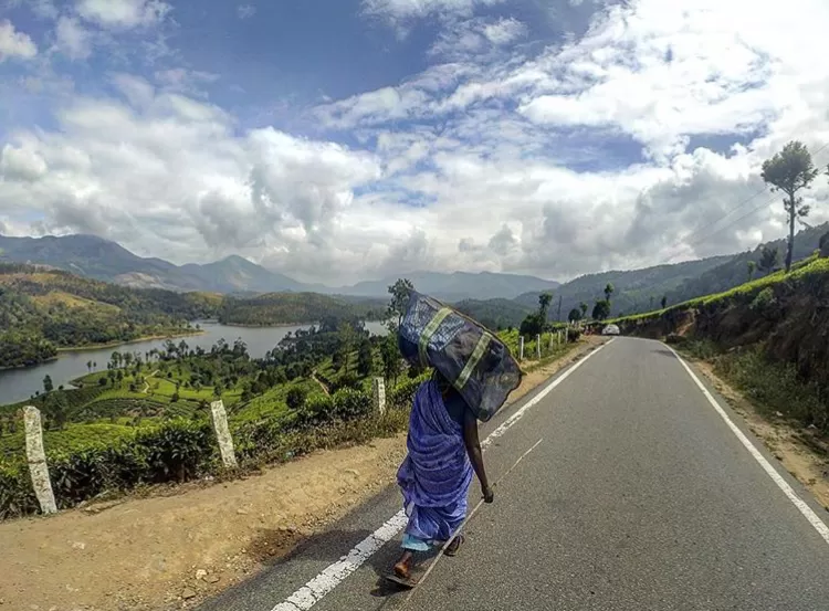 Photo of Kerala By Aditya Phople