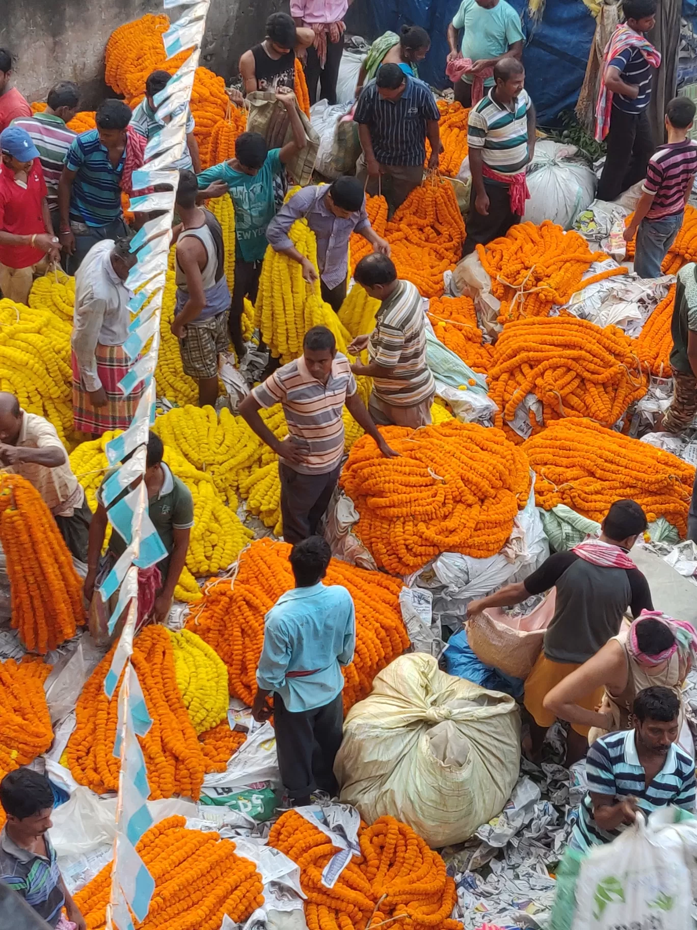 Photo of Mullick Ghat Flower Market By Jyoti Singh
