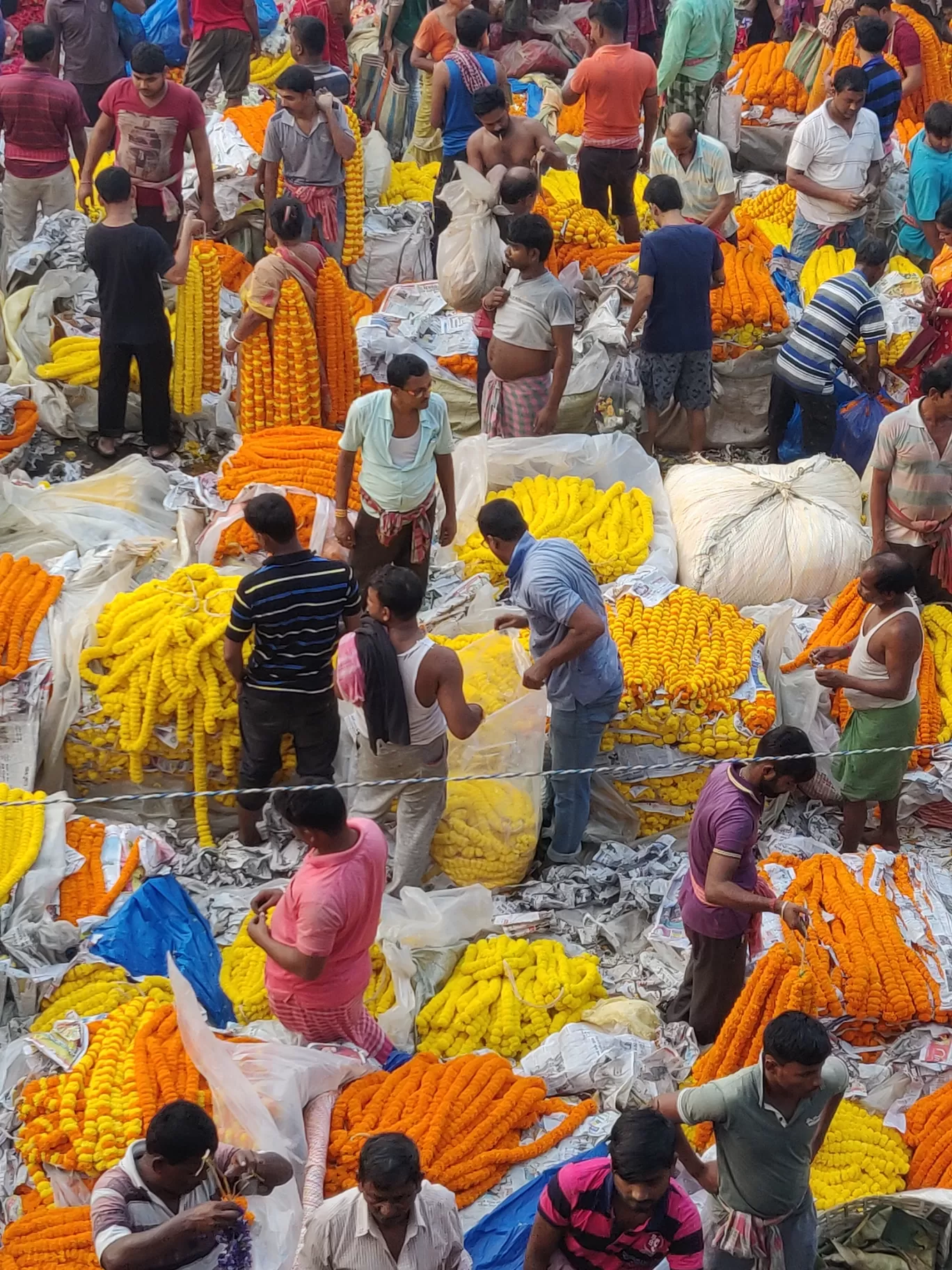 Photo of Mullick Ghat Flower Market By Jyoti Singh