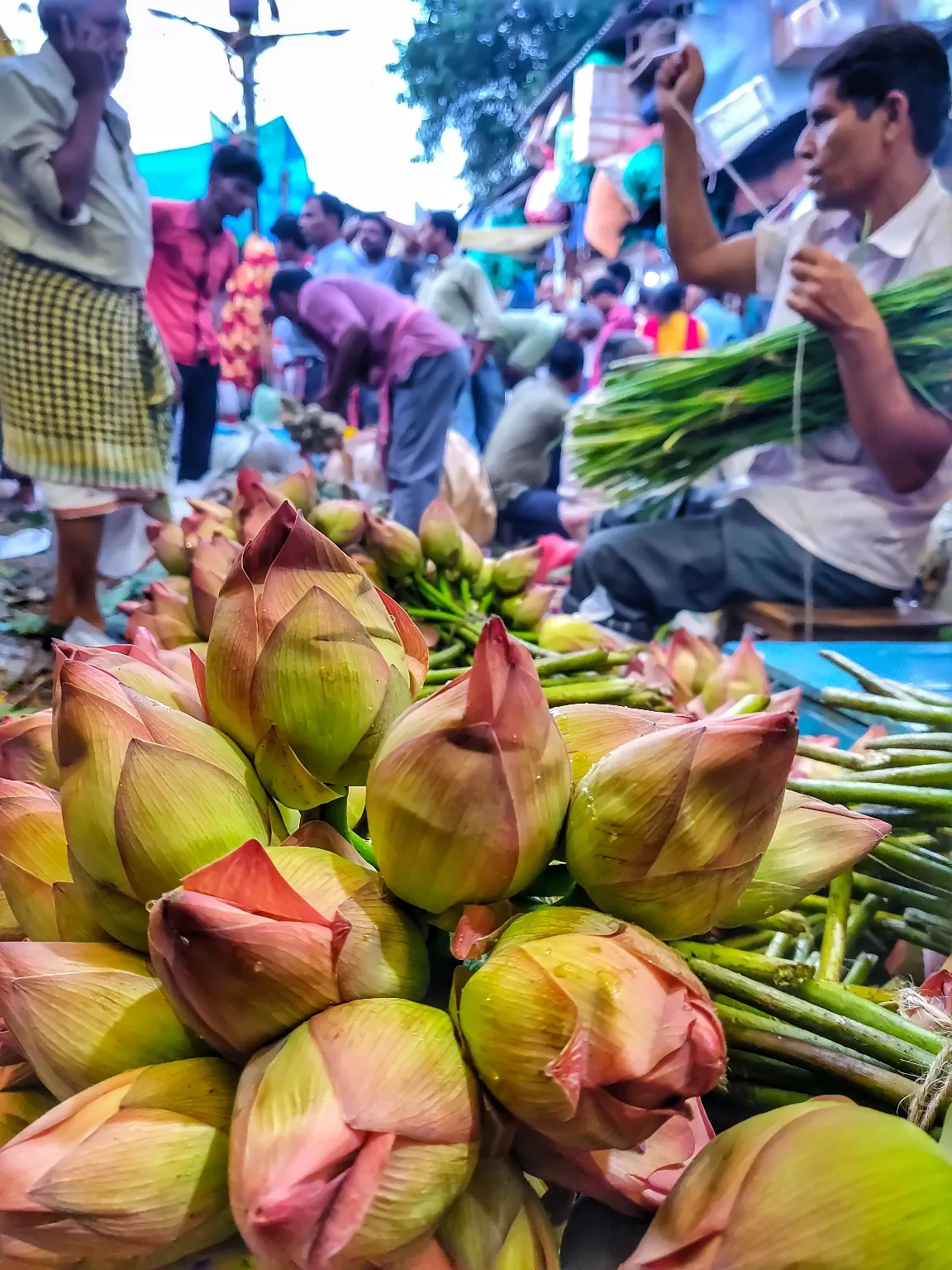 Photo of Mullick Ghat Flower Market By Jyoti Singh