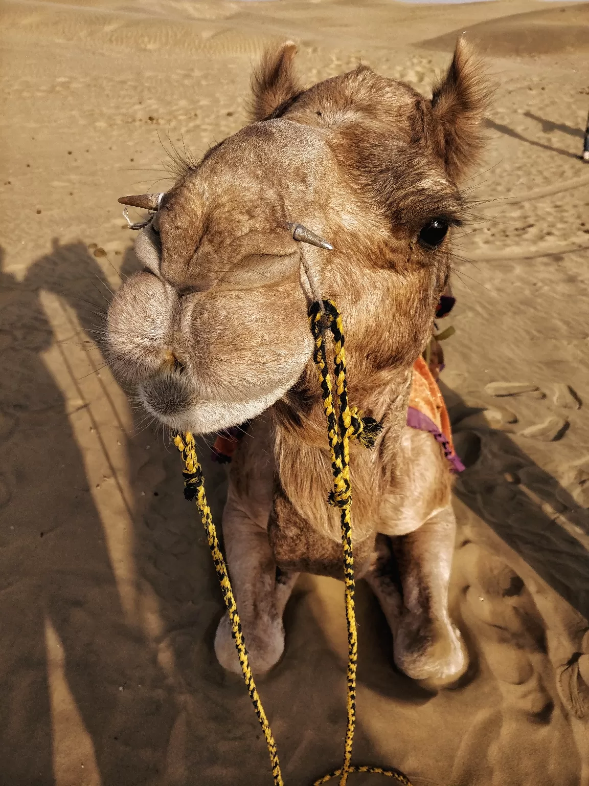 Photo of Rajasthan By Sanket Sinha