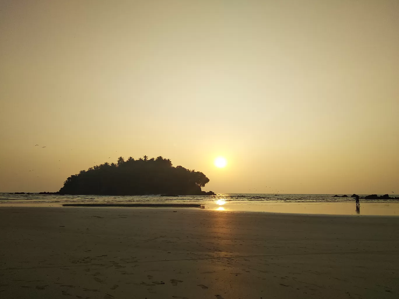 Photo of Dharmadam Island By Lekshmi Devi C S