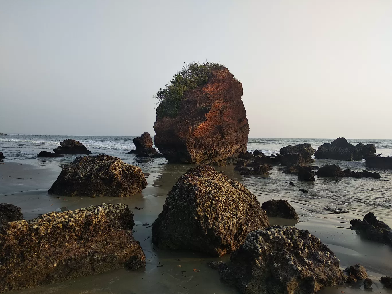 Photo of Dharmadam Island By Lekshmi Devi C S