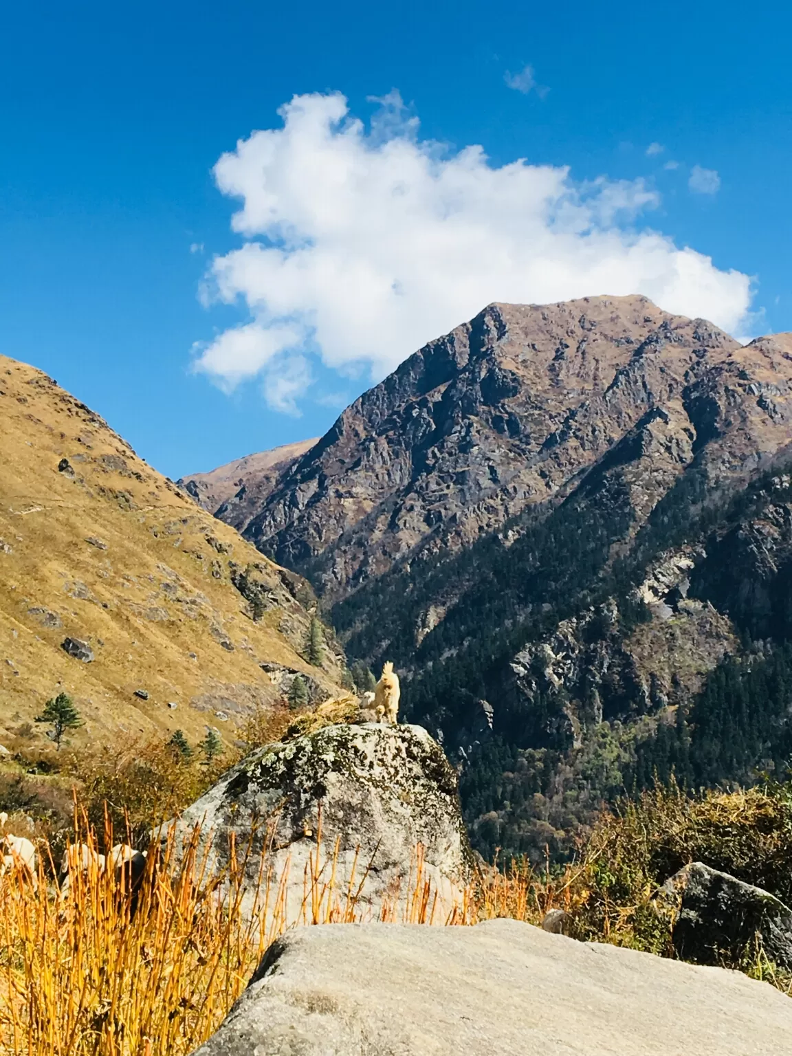 Photo of Har Ki Doon Trek By Ritu Kadian