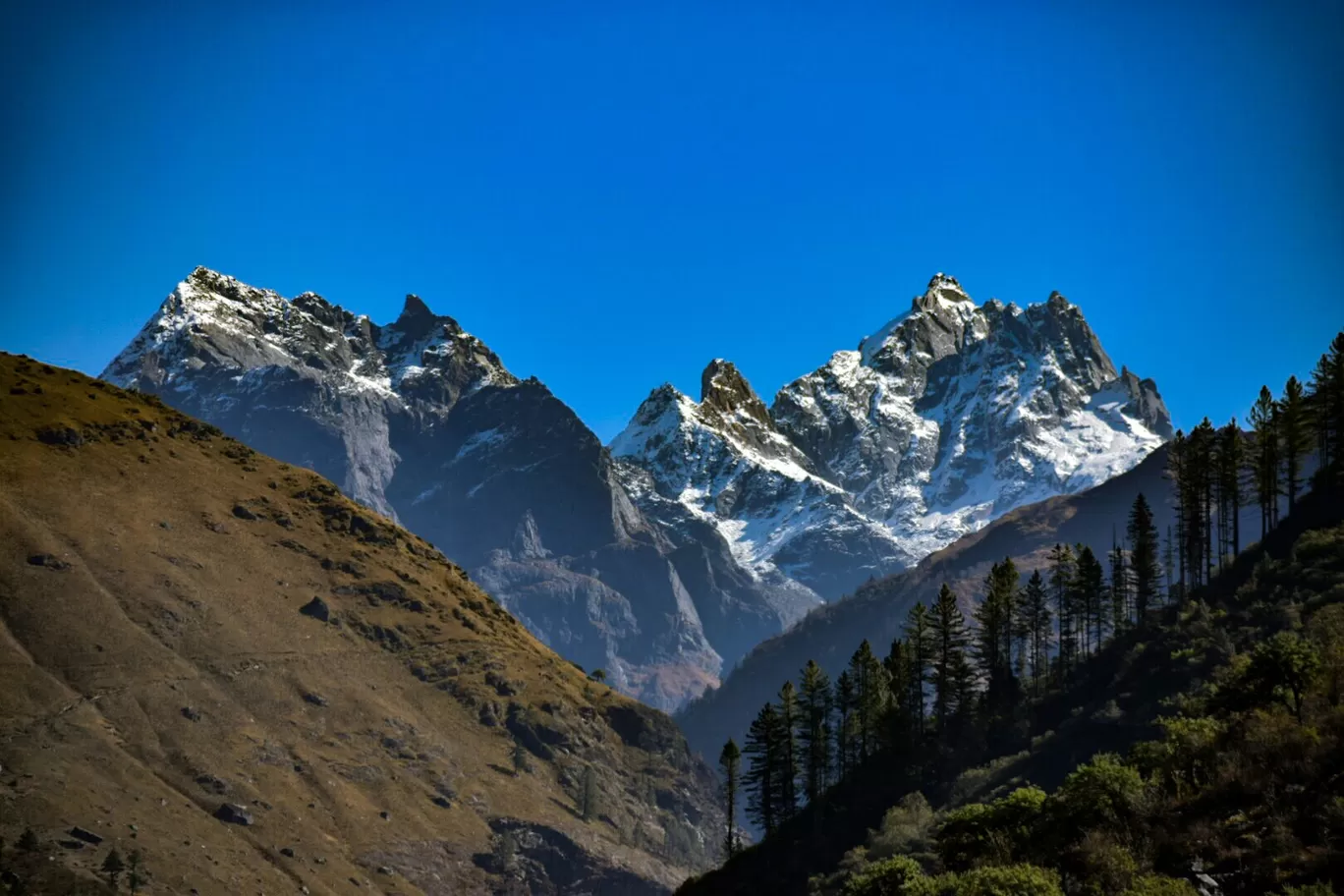 Photo of Har Ki Doon Trek By Ritu Kadian