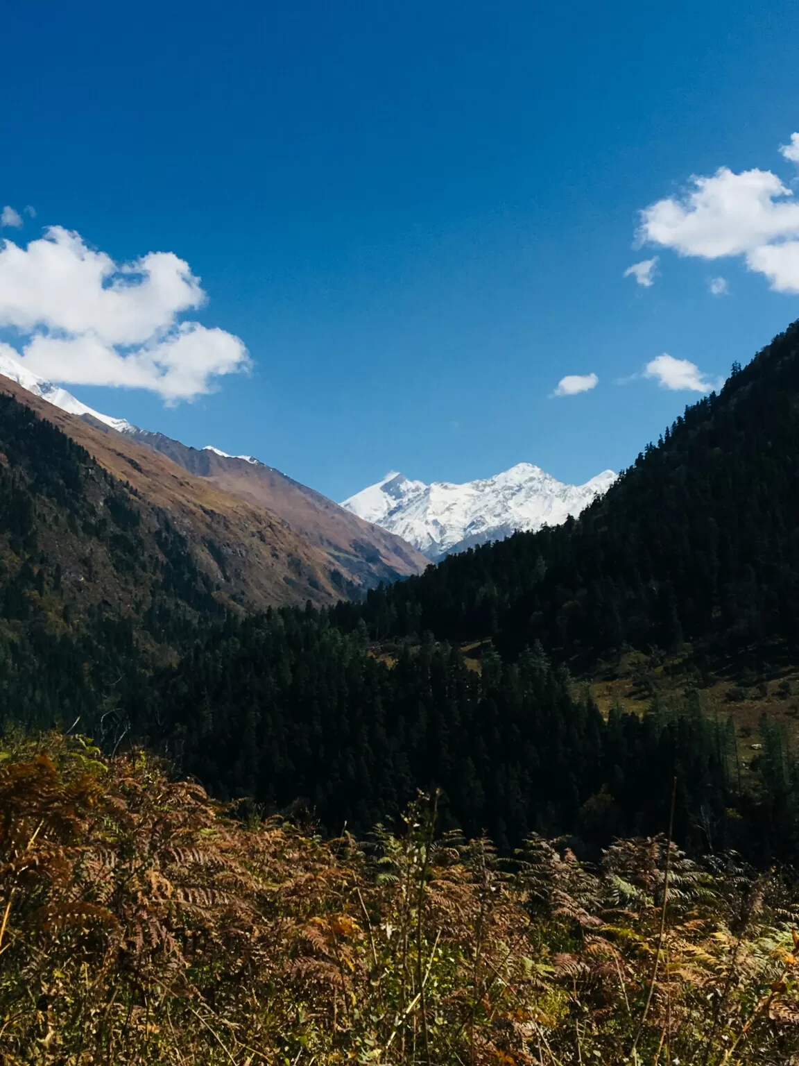 Photo of Har Ki Doon Trek By Ritu Kadian