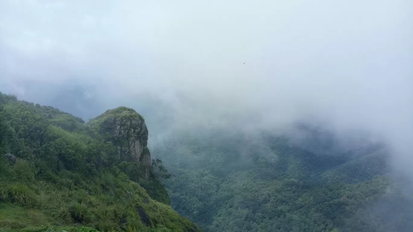 Photo of Vandiperiyar By Anirudh dhannayak