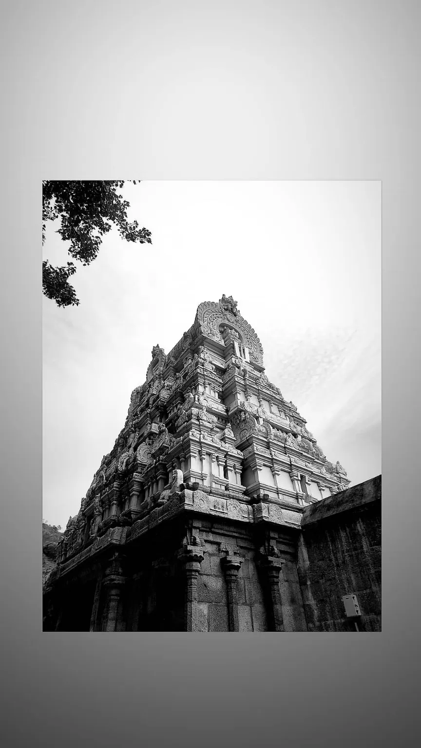 Photo of Tirumala Tirupati Devasthanams By Anirudh dhannayak