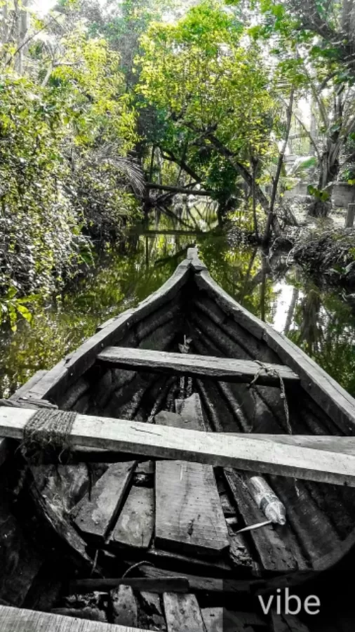 Photo of Munroe Island By Nithin Jacob