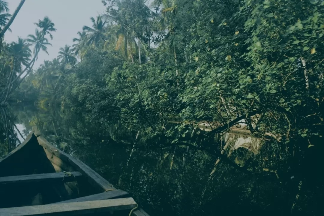 Photo of Munroe Island By Nithin Jacob