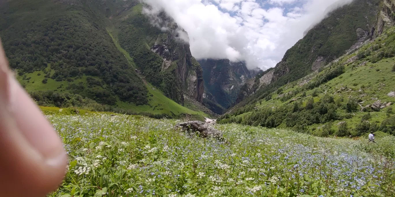 Photo of Valley of Flowers National Park By aniket jain