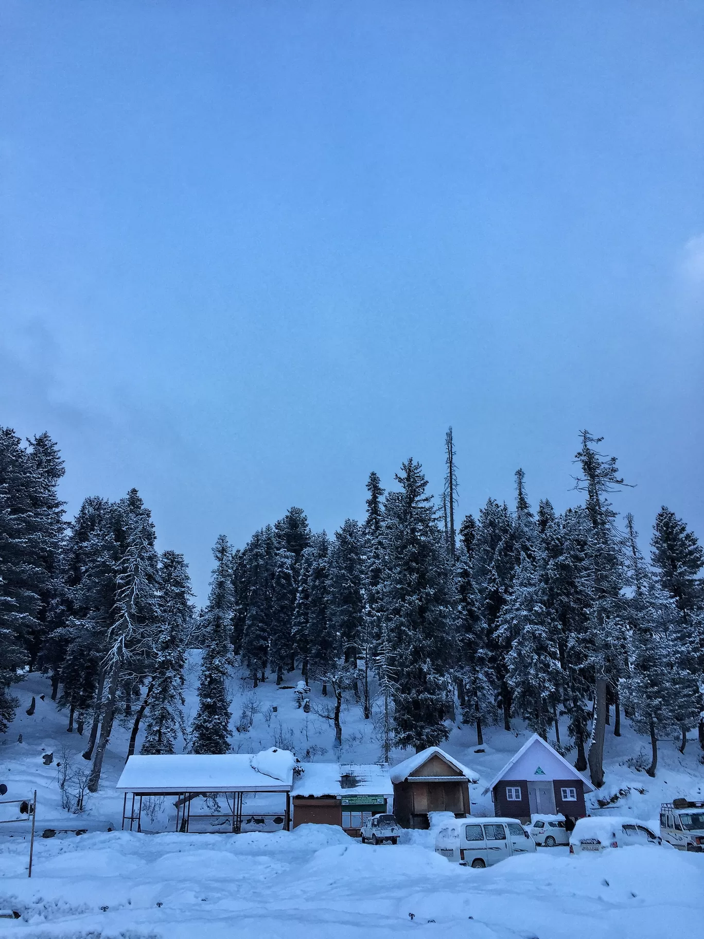 Photo of Gulmarg By Rizza Alee 