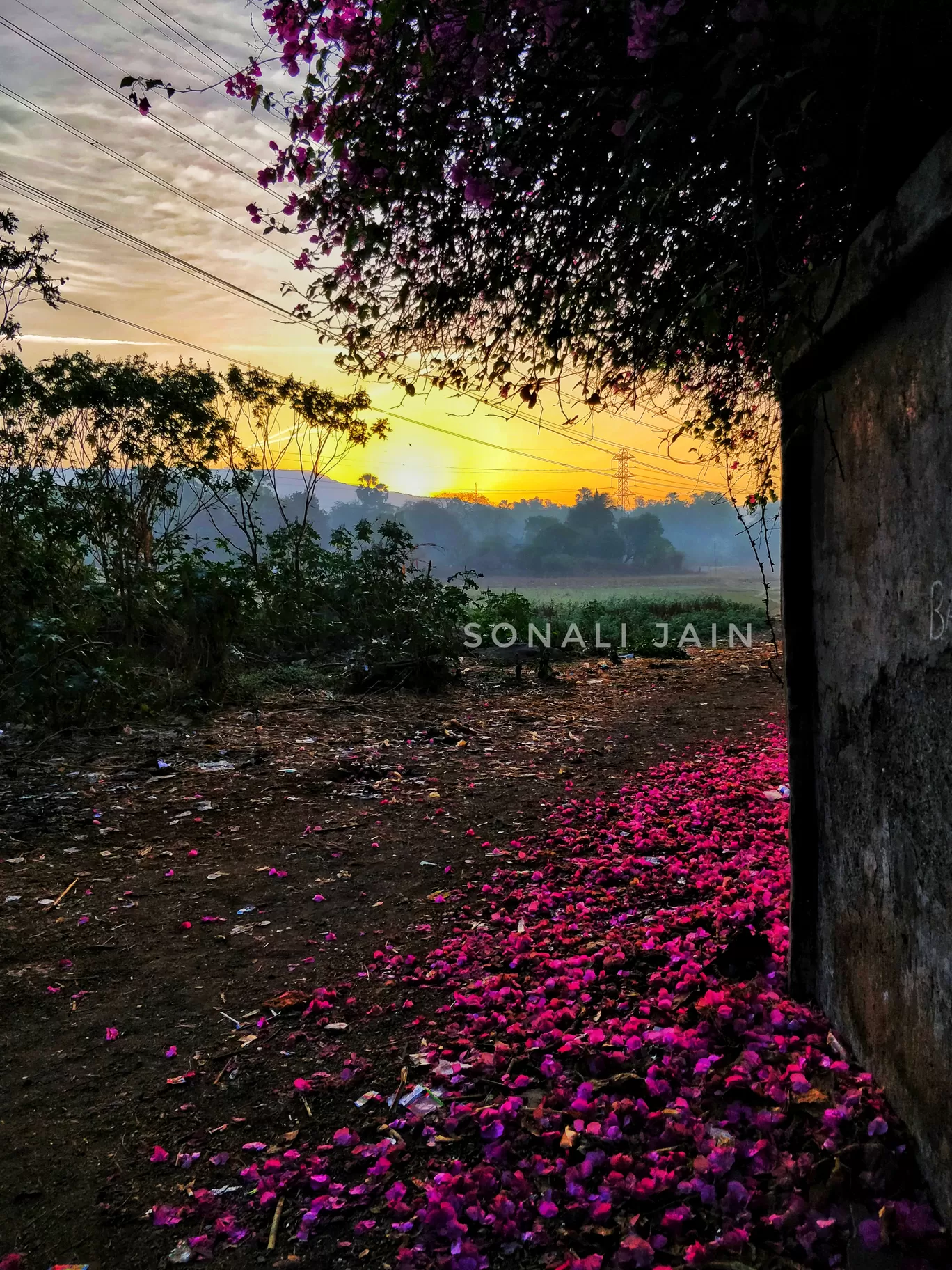 Photo of Sanjay Gandhi National Park By Sonali Jain