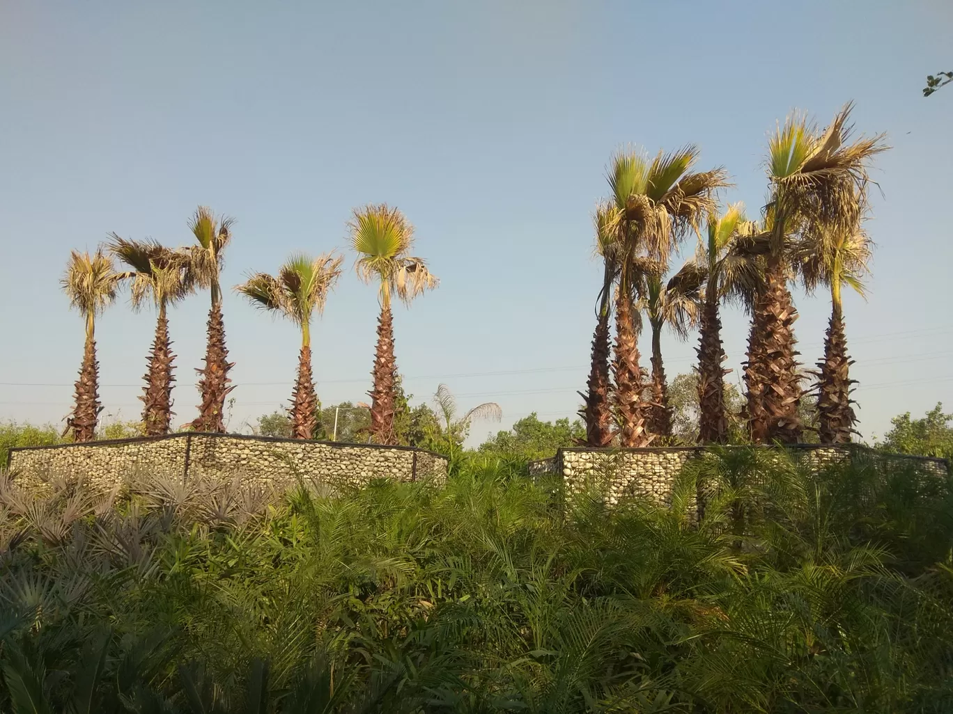 Photo of Sarai Kale Khan By Masaud Akhtar