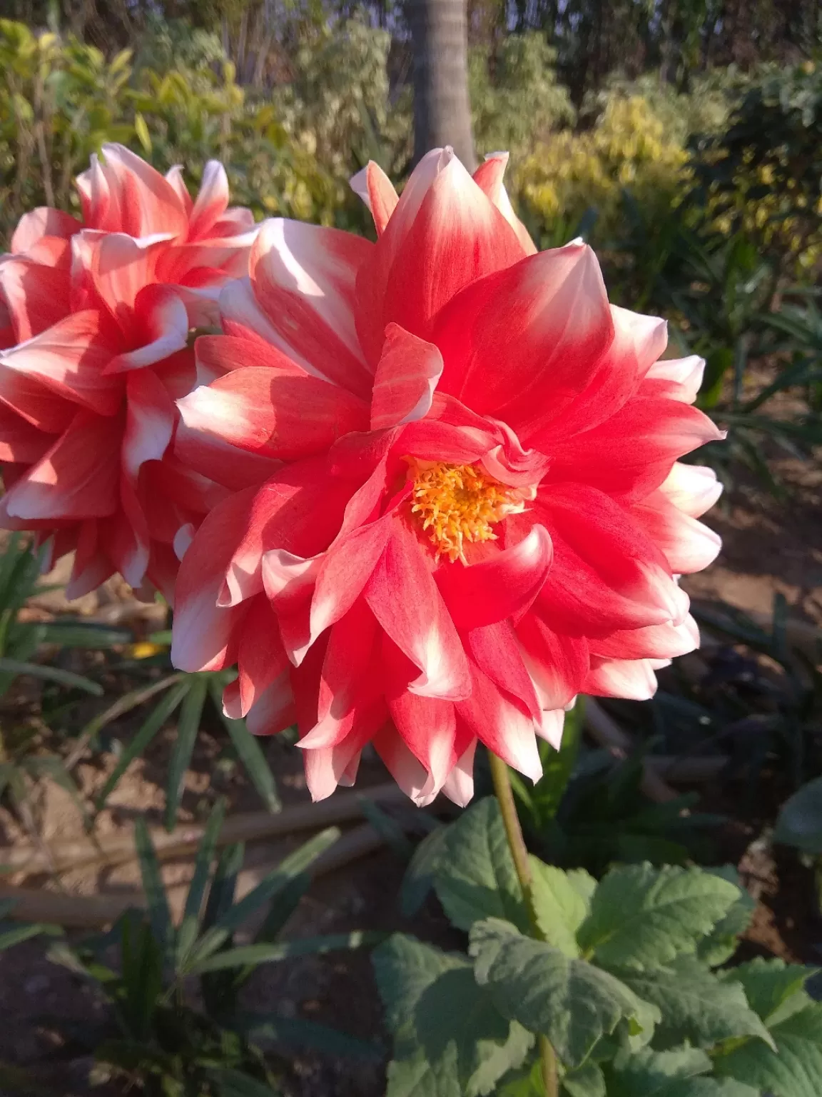 Photo of Sarai Kale Khan By Masaud Akhtar