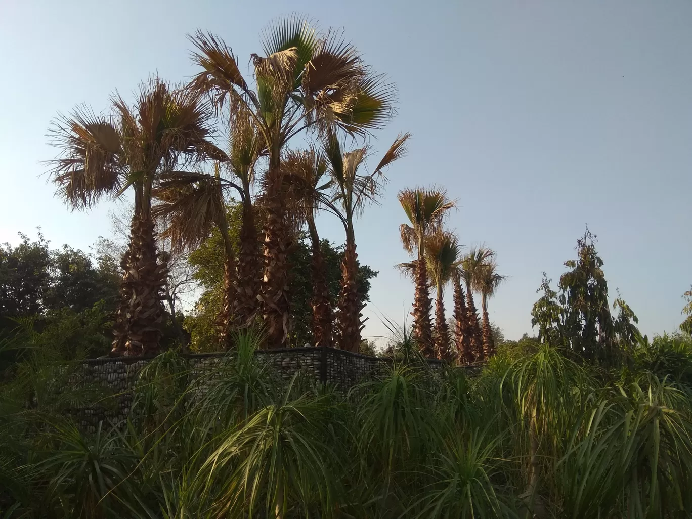 Photo of Sarai Kale Khan By Masaud Akhtar