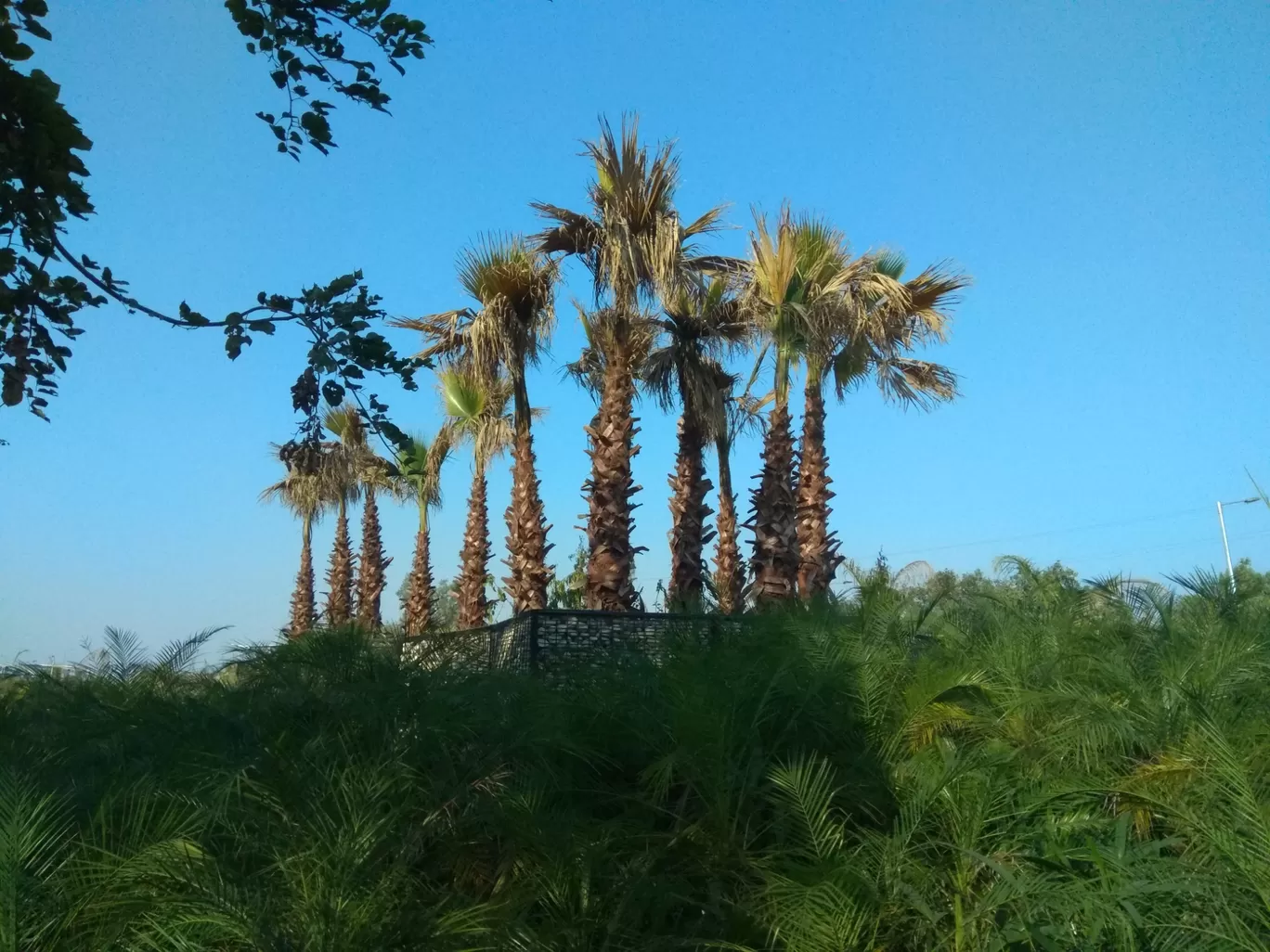 Photo of Sarai Kale Khan By Masaud Akhtar