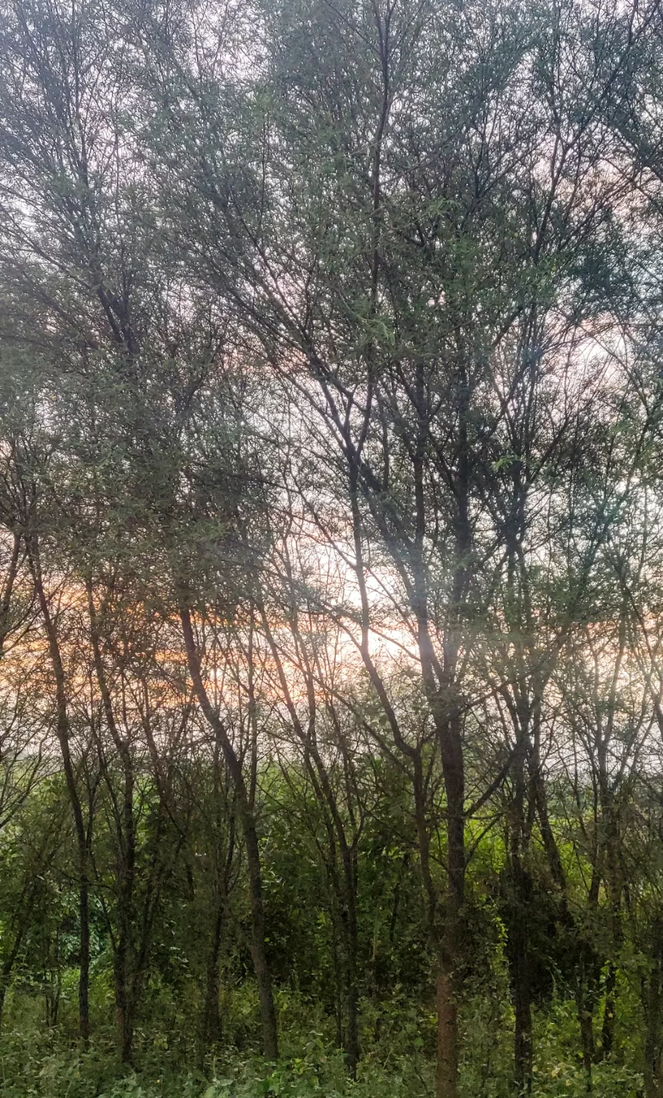 Photo of Aravalli Bio Diversity Park By Pranjal Gupta